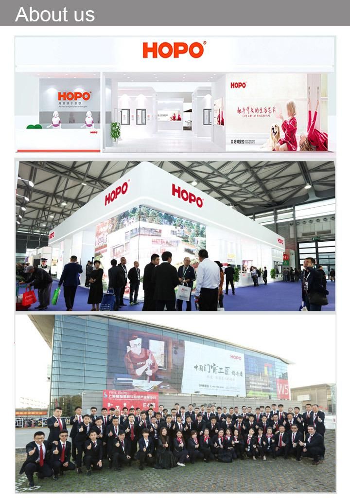 Hopo China Supplier High Quality Zinc Door Handle