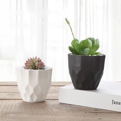 Mini Succulent Plant Pot Flowerpot Plastic Succulent Green Dill Small Green Plant Flower Pot Home Office Desktop Decoration