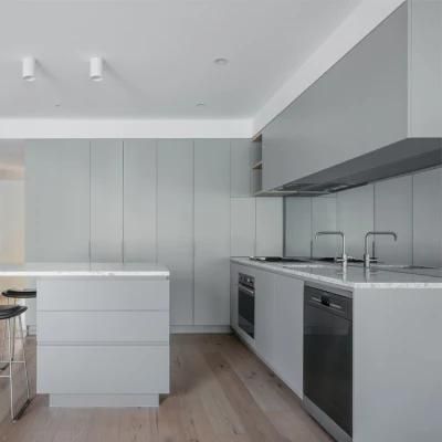 Modern Style European Wholesale Grey Modernas Mueble De Cocina Lacquer Kitchen Cabinet