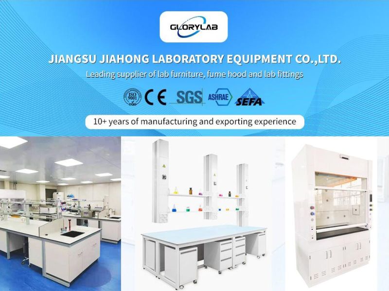 SGS Certified Steel Laboratory Fume Cupboard with European Design Jh-FC041