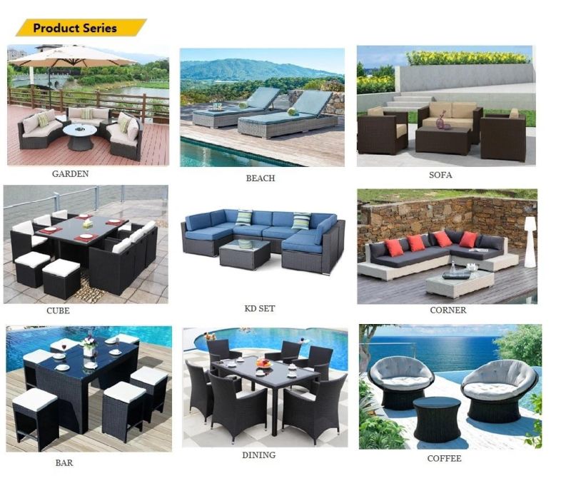 New Design Comfortable Rattan/Wicker Sofa Outdoor Garden Furniture