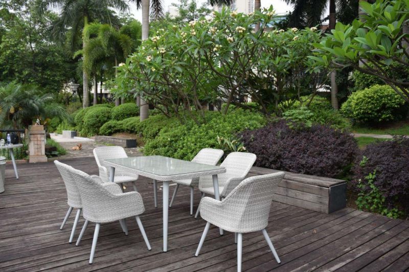 Garden Backyard PE Rattan Aluminium Furniture