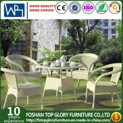 PE Rattan Furniture Outdoor Wicker Furniture Dining Set (TG-578)