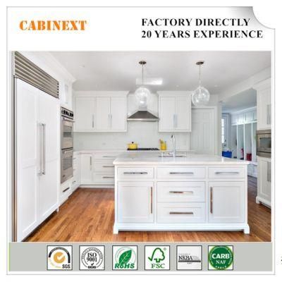 American Project Wholesale Shaker Modern Kitchen Cabinets Customized All Wood