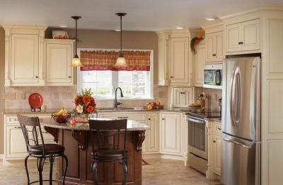 Customized Kitchen Cabinet-Making American Cabinet Shaker Door Cabinet