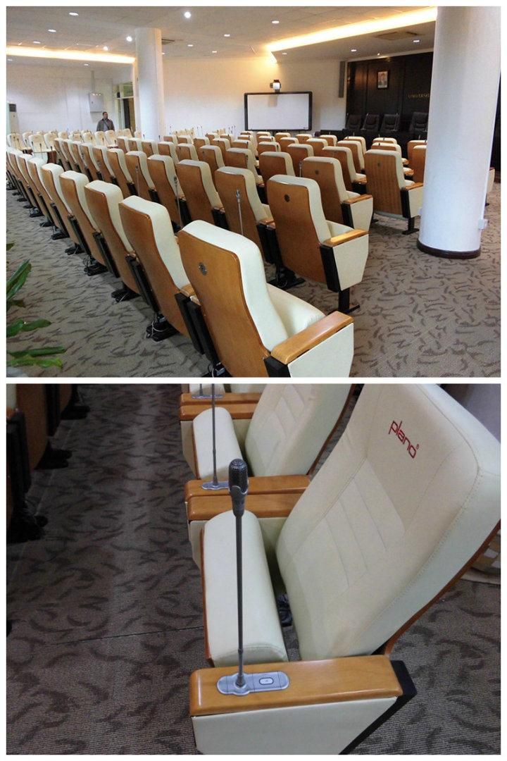 Office Lecture Hall Classroom Public Audience Auditorium Theater Church Seat