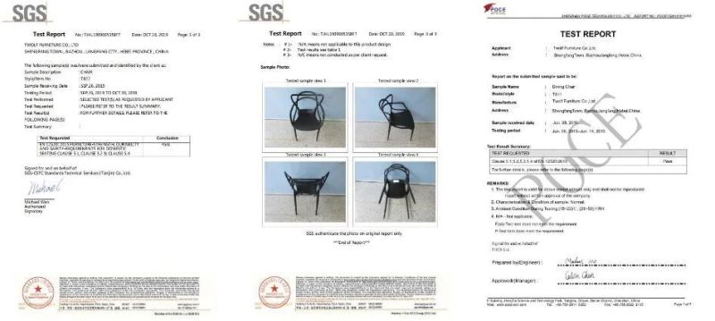 European Design Dining Room Furniture Ergonomic Steel Leg Dining Chair