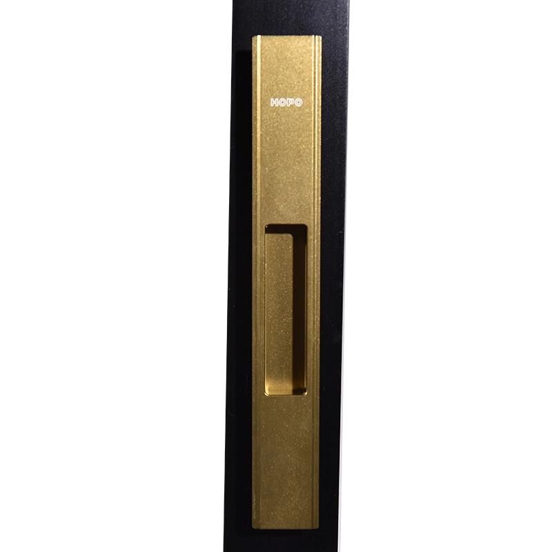 Hopo High Quality Door Hardware Sliding Door Pull Handle