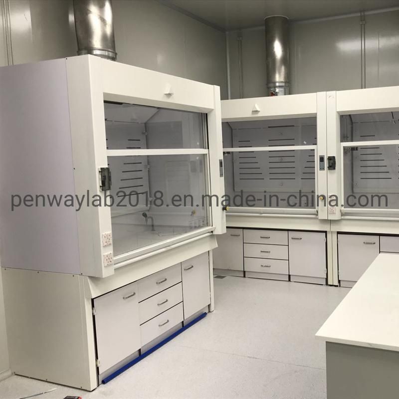 European Standard Steel and Aluminum Column Chemical Fume Hood