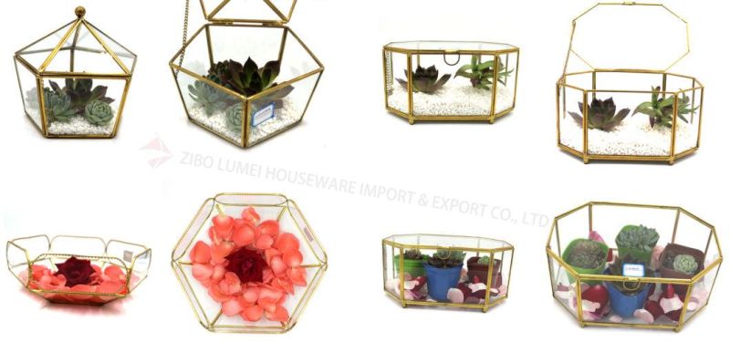 Lisabeth Slanted Cube Geometric Table Glass Terrarium