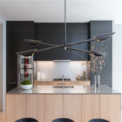 Black Matt Lacquer European Style Bespoke Ready Assemble Modern Kitchen Cabinet