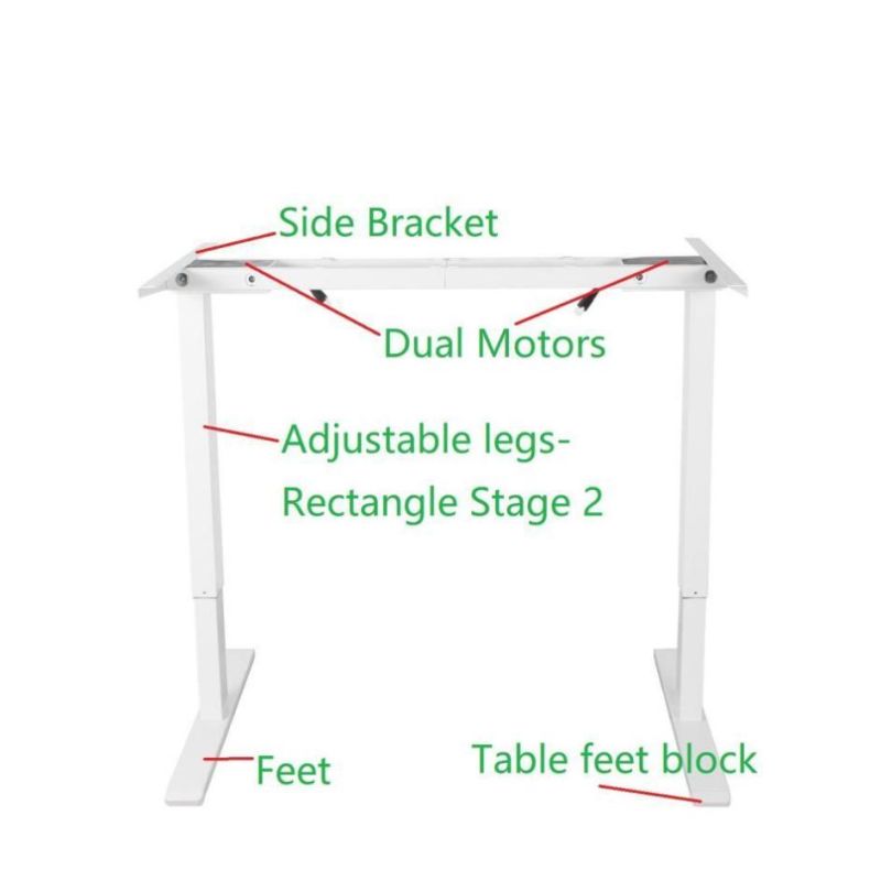 Professional Manufacturer Dual Motor Electric Height Adjustable Desk Metal Frame Motorized Standing Desk