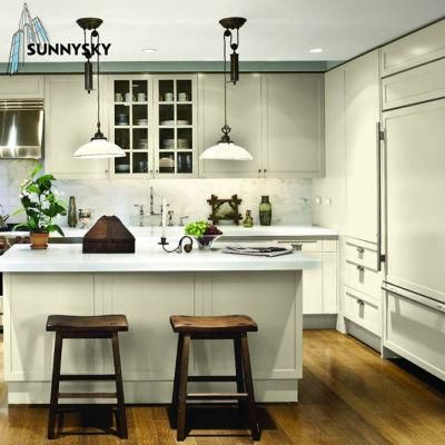 Black European Style New Design Countertops Kitchen Cabinets for Denver
