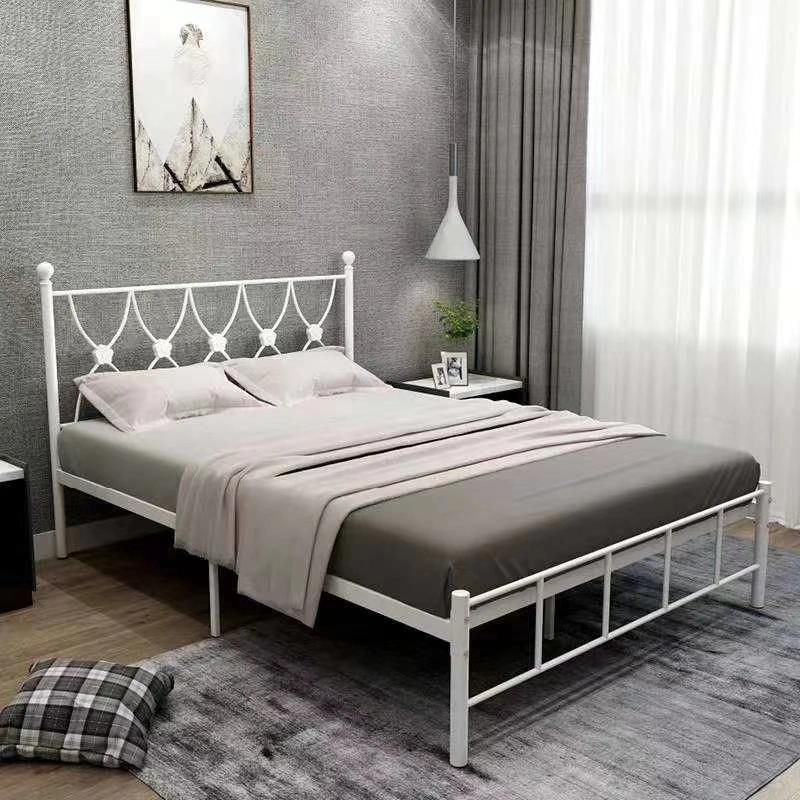 2020 Newest European-Style Metal Single Bed for Double Size