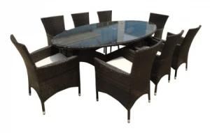 9PCS Oval Table Dining Set