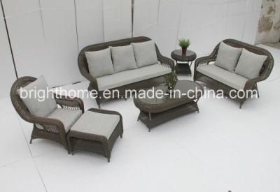 Wicker Sofa Set/Outdoor Leisure Sofa Set (BP-8010)
