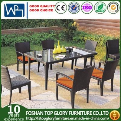 Dining Set for Outdoor with Aluminum / SGS (TG-348)