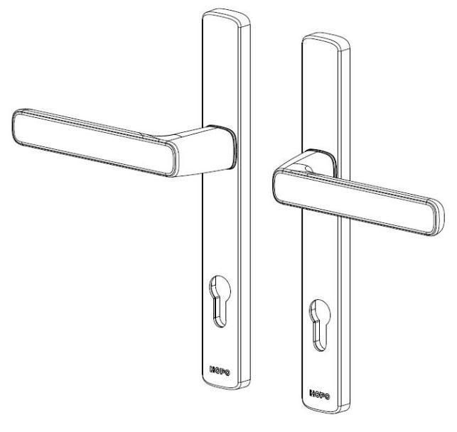 Hopo Hardware Double Side Handle Set