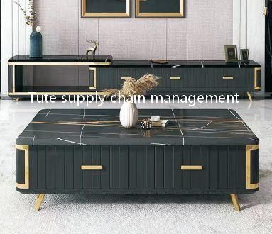 European Modern Design Gold Metal Rectangular TV Table
