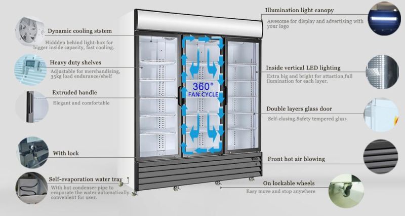 European Luxury Beverage Refrigerator Showcase with 3 Doors Supermarket Refrigeration Equipment Juice Cooler