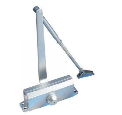 High Standard Promotion Product Small Hydraulic Door Closer Floor Spring Price