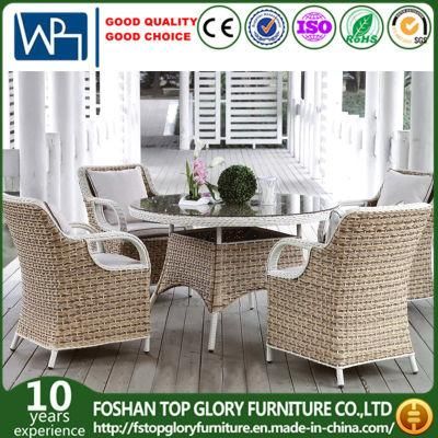 Modern Design Dining Table and Chair Outdoor Furniture PE Rattan Furniture Set (TG-1653)