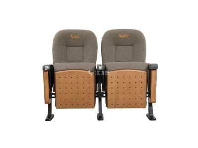 Stadium Classroom Lecture Theater Conference Cinema Church Auditorium Theater Chair