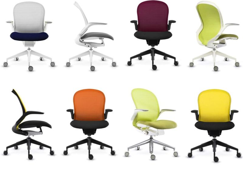 Asis Follow European Style Modern Office Chair in Fixed Glides No Arm