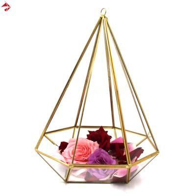 Cheap Tri Pyramid Agathla Diamond Geometric Table Glass Terrarium