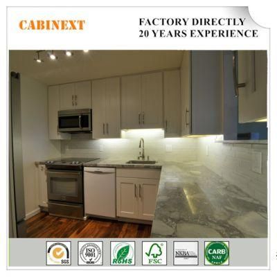 Customized Lacquer Modern Plywood Home Furniture Wood Kitchen Cabinet