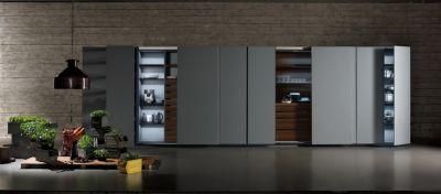 Luxury Simple Design Matt Finish Complete European Kitchen Cabinet Modern Coffee Custom Kitchen