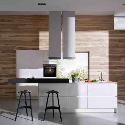 Decoration Custom Made European Style White Real Estate Project Kitchen Cabinet