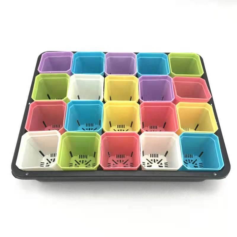 Gardening Seed Boxes Holder Plant Growing Trays Rack Seedling Vegetables Nursery Tray Shelf Seeding Tray