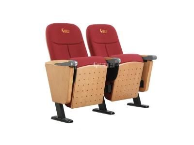 Public Cinema Economic Office School Church Theater Auditorium Furniture