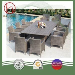 All Weather Outdoor 11PCS Garden Furniture Leisure Dining Tables and Chairs