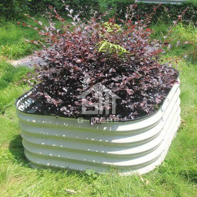 Oval Powder Coated Galvanized Planter for Growing Herbs Flowers Raised Garden Beds