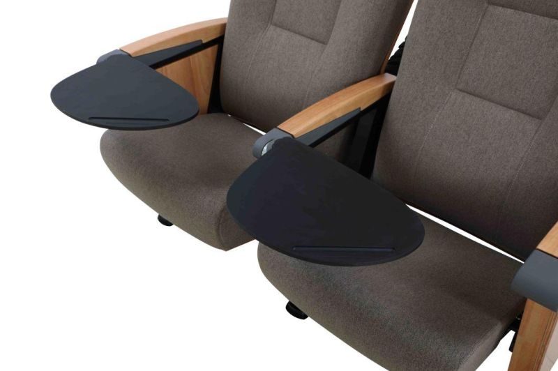 Stadium Classroom Lecture Theater Conference Cinema Church Auditorium Theater Chair