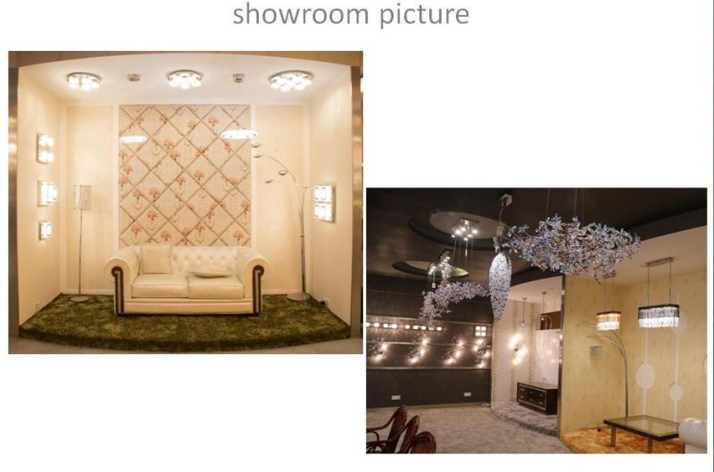 Top Quality European Living Room Furniture Ceiling Lighting