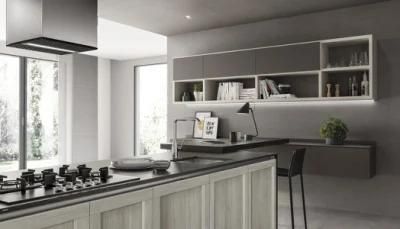 New Designs Modular Wooden Cabinet Kitchen Cabinets with Top Quality