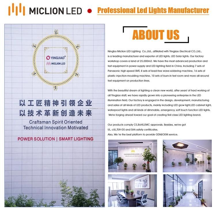 Illuminated Backlit Lighted LED Bathroom Mirror Full Body China Factory Supplier