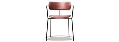 European Design Home Furniture Steel Frame Dining Chair for Living Room