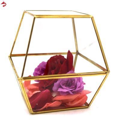 Lisabeth Slanted Cube Geometric Table Glass Terrarium