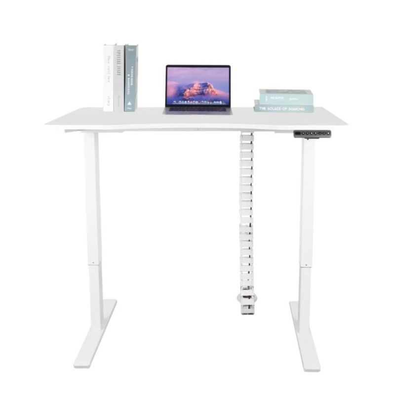 Widely Customer Motor Adjustable Height Desks Standing up Desk Office Furniture with USB in White with Smart Controller