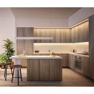 Custom Made Modern Modular Wood Lifetime Warranty Kitchen Cabinets