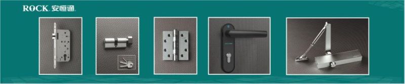 Recommended Sainless Steel European Standard Mortise Door Lock