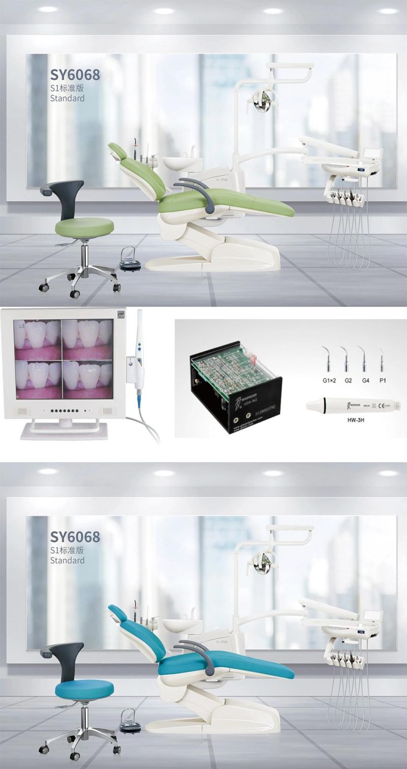 CE Approved European Type Chair Dental Unit Factory with Dental Light