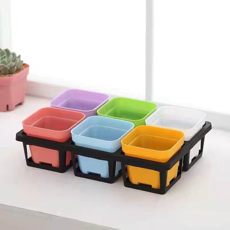 Gardening Seed Boxes Holder Plant Growing Trays Rack Seedling Vegetables Nursery Tray Shelf Seeding Tray