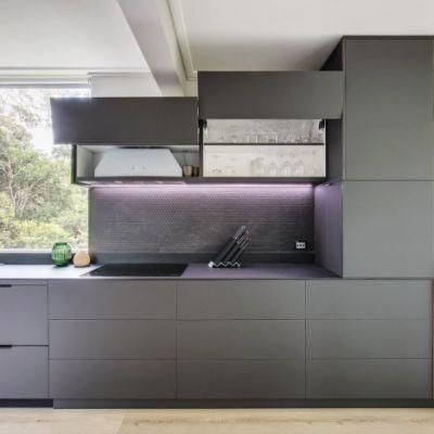 New Fashion Dark Grey Matte 2PAC Finish Modern Style Plywood Kitchen Cabinets