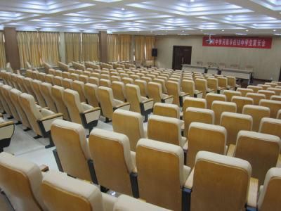 Stadium Audience Economic Classroom Conference Auditorium Theater Church Seating