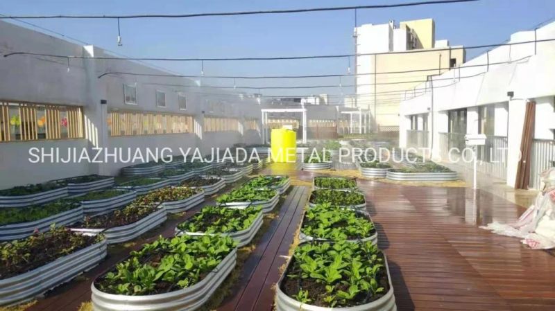 Outdoor Herb Large Planter Galvanized Raised Gardening Beds